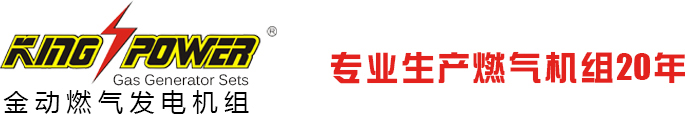供應(yīng)天然氣發(fā)電機(jī)組,天然氣發(fā)電機(jī)價(jià)格,山東天燃?xì)獍l(fā)電機(jī)組,深圳天燃?xì)獍l(fā)電機(jī),廣東天燃?xì)獍l(fā)電機(jī),進(jìn)口天燃?xì)獍l(fā)電機(jī),沼氣發(fā)電機(jī)組,沼氣發(fā)電機(jī)組生產(chǎn)商,沼氣發(fā)電機(jī)廠家,供應(yīng)沼氣發(fā)電機(jī),供應(yīng)沼氣發(fā)電機(jī)組