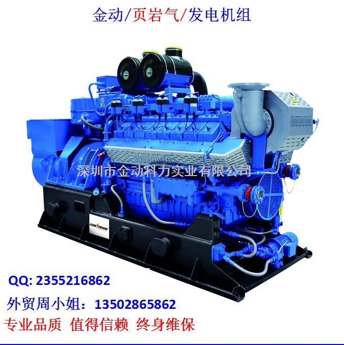 【深圳頁巖氣發電機】 發展趨勢無懈可擋！
